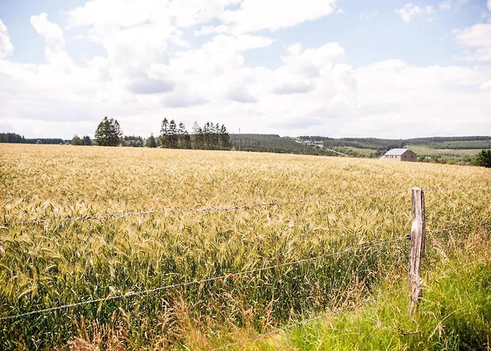Peaceful Retreat With Sauna