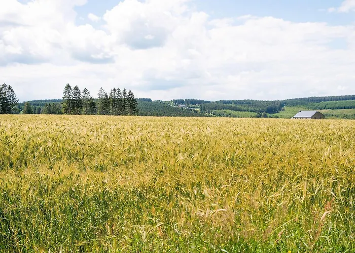 Hébergement de vacances Peaceful Retreat With Sauna Fraiture